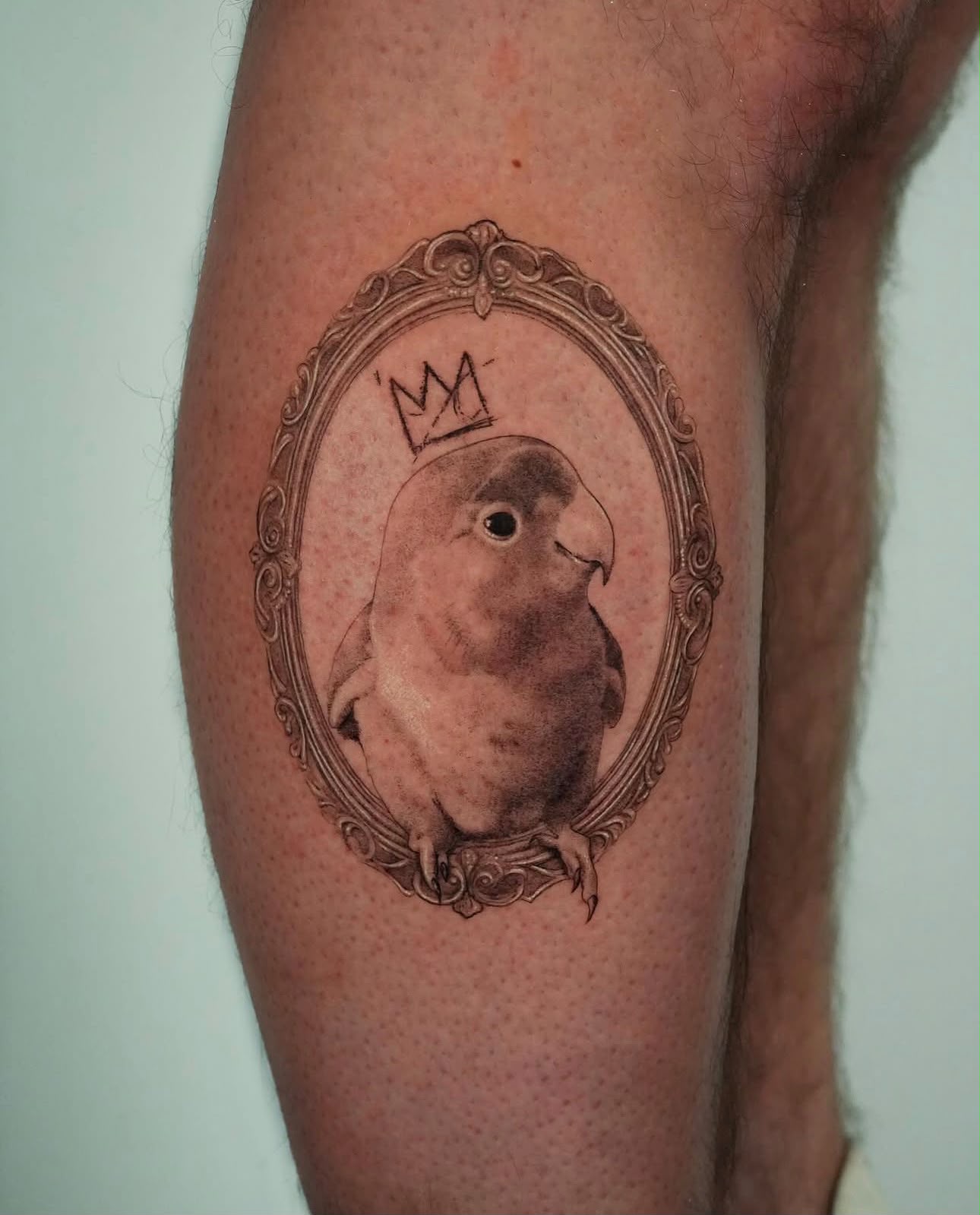 Fine detail tattoo of a parrot in an ornate frame