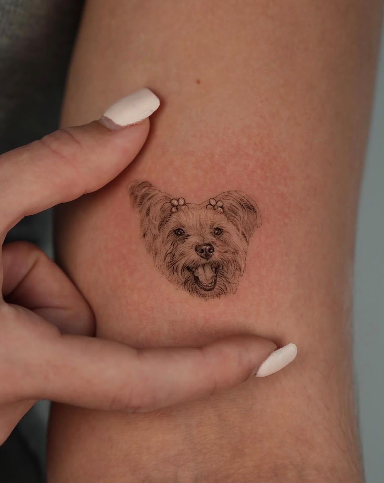 Small detailed portrait tattoo of a dog